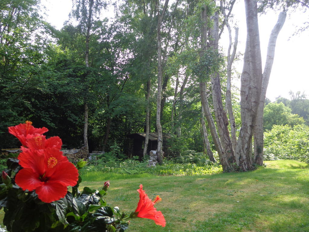 Green Hill Guest House And Apartment Overijse Kültér fotó